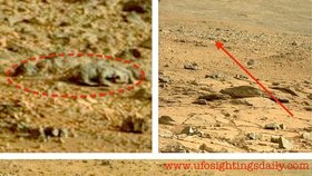 Milovníci UFO teorií se z "nálezu" ještěrky radují