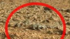 Toto má být mimozemská ještěrka z Marsu