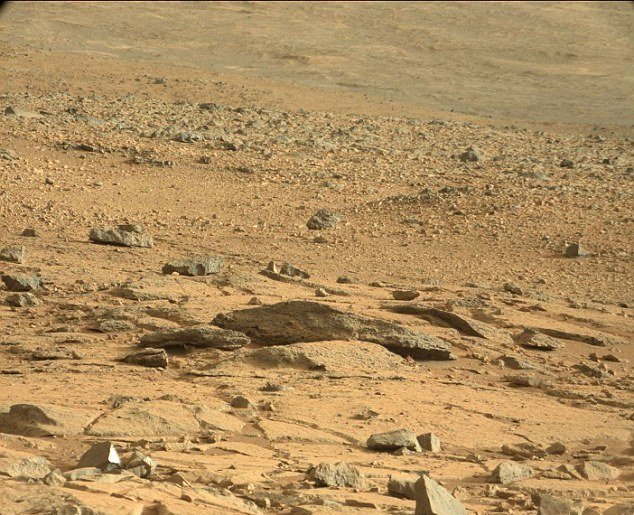 Originální snímek ukazuje celou planinu. Údajná ještěrka na něm vypadá jen jako halda kamení.