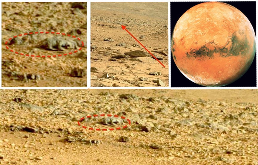 Japonský blogger údajně objevil na povrchu Marsu ještěrku
