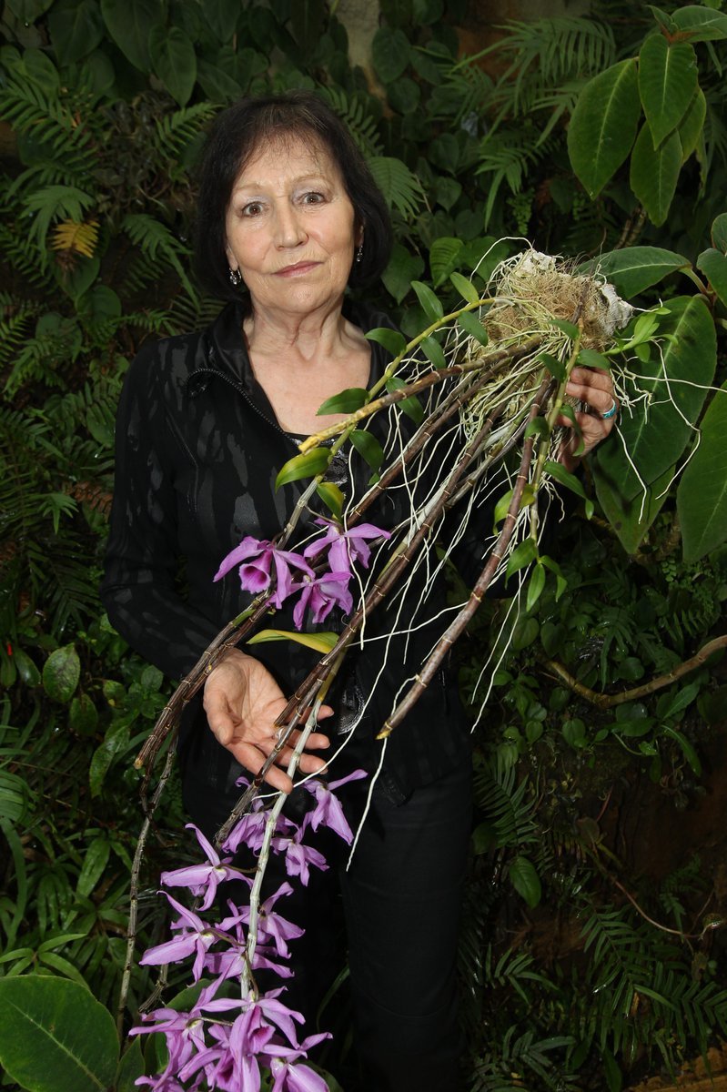 Marta Kubišová slavila 1. listopadu 73. narozeniny.