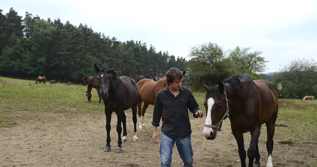 Martin Kraus miluje koně a díky tomu dostal i roli v Popelce