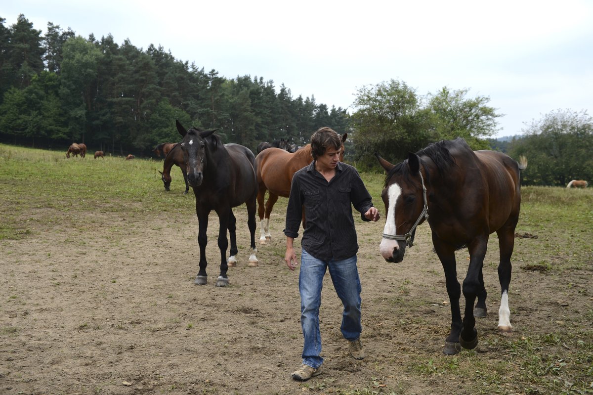 Martin Kraus miluje koně