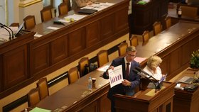 Martin Kupka (ODS) v Poslanecké sněmovně (srpen 2026)