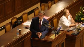 Martin Kupka (ODS) v Poslanecké sněmovně (srpen 2026)
