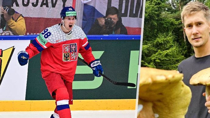 A pak že nerostou! Šampion z Prahy Martin Nečas ukázal svůj houbařský úlovek.