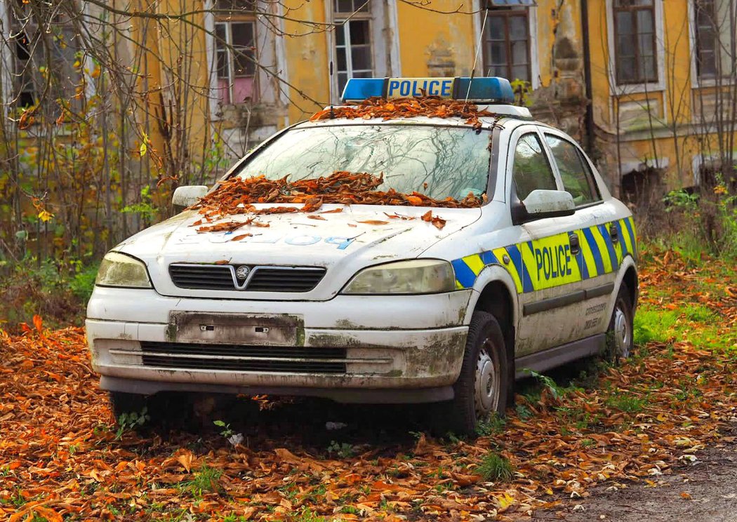 Hledali jsme po lesích vraky