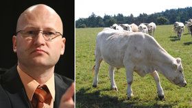 Česko má u mléka a hovězího skrytou nesoběstačnost, říká šéf Zemědělského svazu ČR Martin Pýcha.