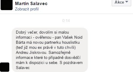 Martin Salavec sám napsal Blesku, že mu Noid svedl partnerku.