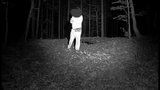 Martin se ztratil v lese, kolem kroužil medvěd: Zachytily ho pozorovací kamery