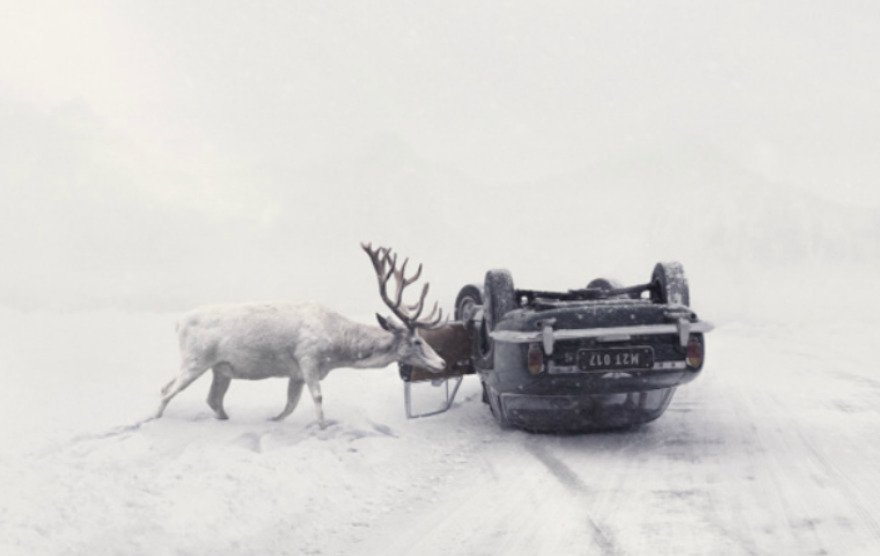 Oblíbený snímek Until You Wake Up je Strankovým poetickým uchopením autonehody, kde jelen symbolizuje pomoc a naději.