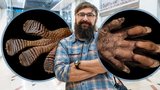 Vyvěštíte osud chameleonovi? Tajemství tlap i tlapek odhaluje Martin Veselý