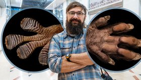 Výstava Doteky Afriky, přístupná zdarma do 30. března v pražské Nákupní galerii Myslbek, je prodejní. Výtěžek z vystavených snímků pomůže nadaci Vodicí psi srdcem...