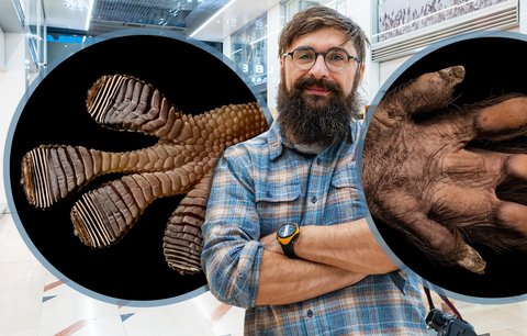 Vyvěštíte osud chameleonovi? Tajemství tlap i tlapek odhaluje Martin Veselý