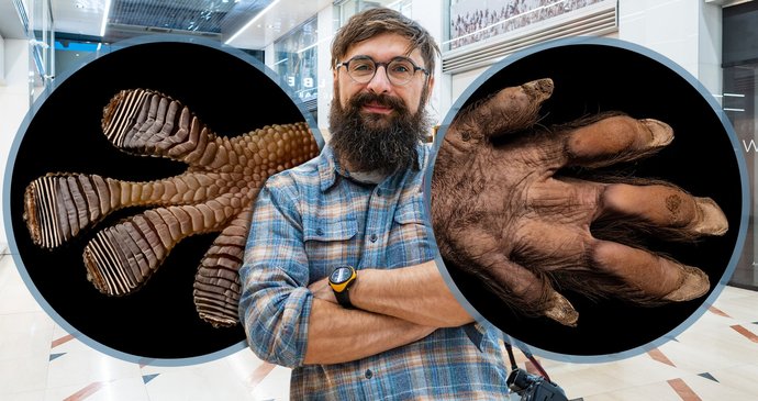 Výstava Doteky Afriky, přístupná zdarma do 30. března v pražské Nákupní galerii Myslbek, je prodejní. Výtěžek z vystavených snímků pomůže nadaci Vodicí psi srdcem...