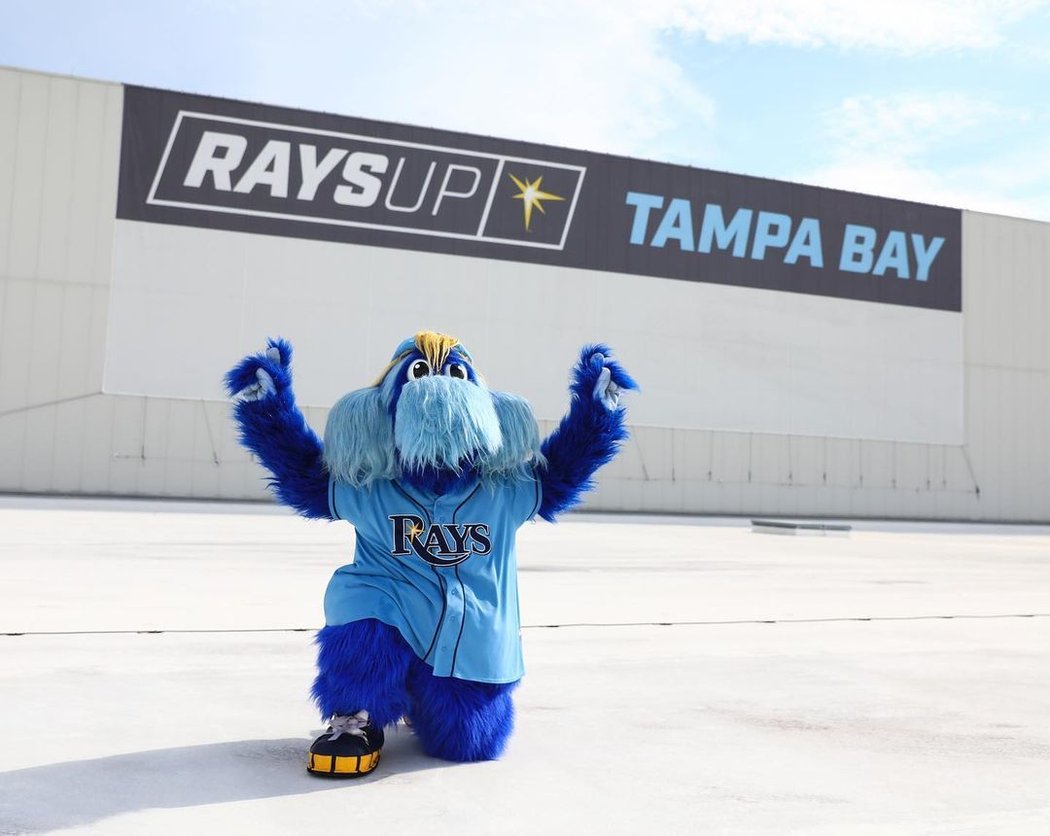 Tampa Bay Rays se letos probojovali až do finále Světové série