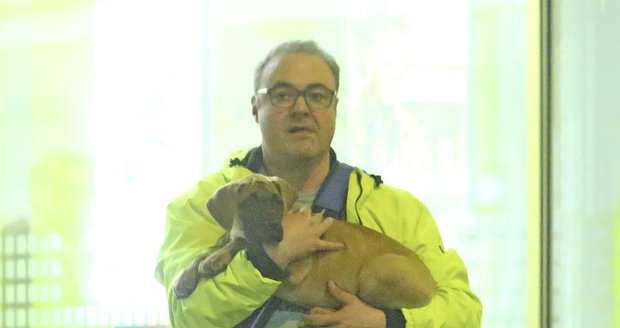 Martin Zounar si pořídil štěně německé dogy.