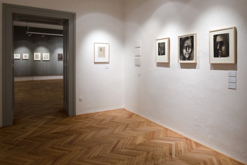 Galerie Václava Chada na Zámku ve Zlíně