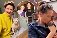 Farářka ze StarDance Kopecká: Nový člen rodiny! Štěňátko baví fanoušky