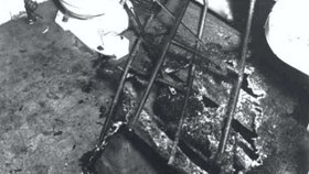 Jiný případ lidského samovznícení z roku 1966