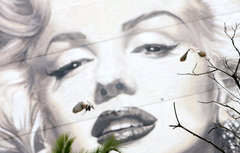 Šaty Marylin Monroe vydraženy za 80 milionů!