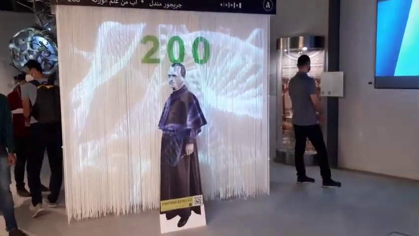 10 tisíc návštěvníků si denně prohlédne na EXPO 2020 v Dubaji výstavu o otci genetiky G.J. Mendelovi . Akci připravila Masarykova univerzita.