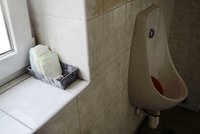 Masarykovou univerzitou hýbe "záchodová kauza": Studentky okupují pánské toalety