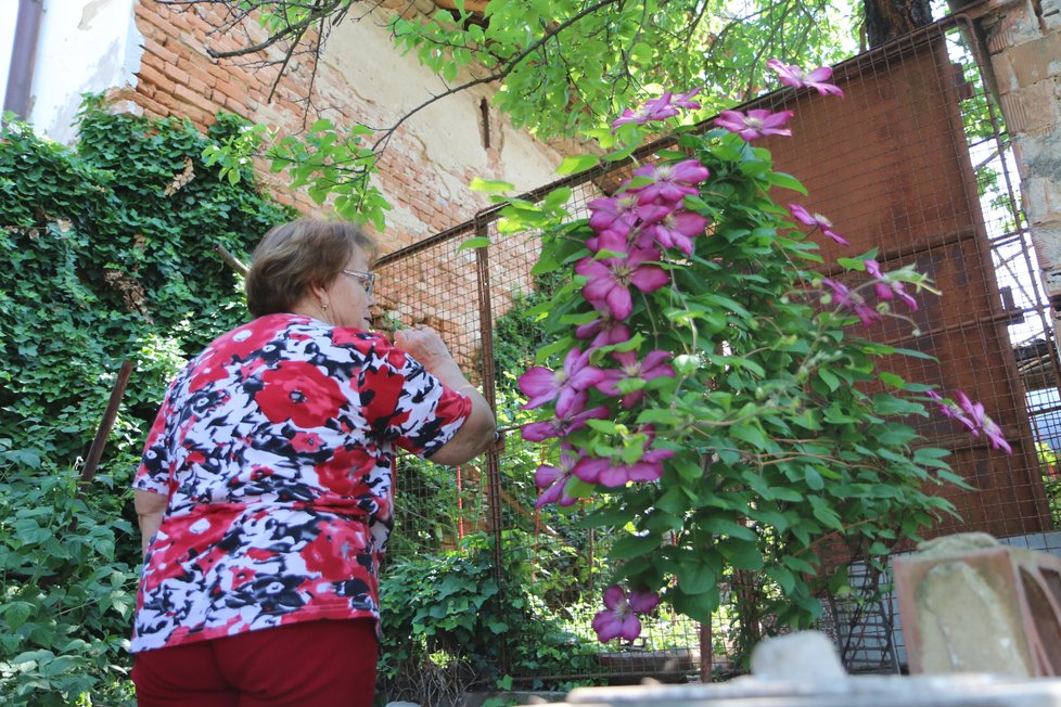 Zdeňka Chybová (72) byla na zahrádce jen pár hodin předtím, než na ni spadla část střechy Masarykova domku.