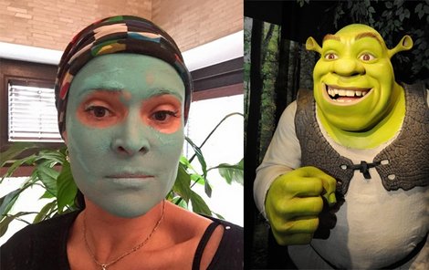 Do koho se to Shrek zakoukal?