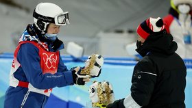 Ping Dwen Dwen - maskot letošních zimních olympijských her
