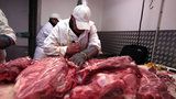 Nelegální bourárna masa na Bohdalci: Inspektoři zajistili tunu a čtvrt hovězího