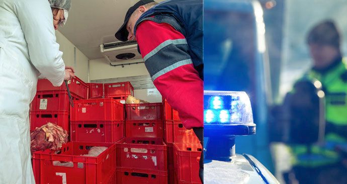 Veterináři, policisté a celníci zastavili v tomto týdnu kvůli polskému hovězímu 543 vozidel v příhraničních oblastech. Z toho ve 139 případech vezl kamion či dodávka veterinární zboží, inspektoři přišli na 16 závad, většinou administrativních.
