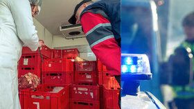 Veterináři, policisté a celníci zastavili v tomto týdnu kvůli polskému hovězímu 543 vozidel v příhraničních oblastech. Z toho ve 139 případech vezl kamion či dodávka veterinární zboží, inspektoři přišli na 16 závad, většinou administrativních.