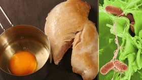 Vejce a kuřecí maso – nejrizikovější potraviny ve vedrech.
