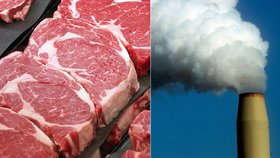 Jaká je uhlíková stopa průměrného Pražana? Nejvíce zatěžujeme přírodu spotřebou masa, uvádí výzkum