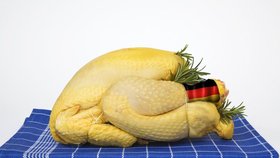 20 tun zkaženého kuřecího masa z Německa měli sníst Češi!