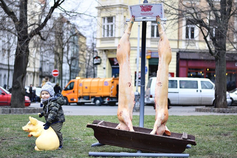 Žižkovský masopust v sobotu odstartoval třídenní veselí. To vygraduje ve středu průvodem masek.