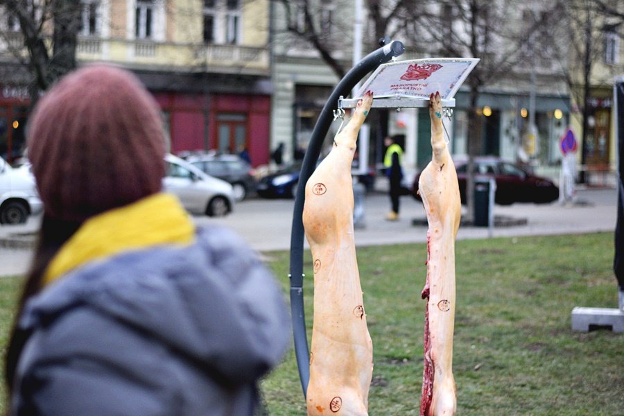 Žižkovský masopust v sobotu odstartoval třídenní veselí. To vygraduje ve středu průvodem masek.