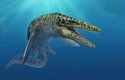 Mosasauři se objevili před 100 miliony let, vyhynuli spolu s neptačími dinosaury před 66 miliony let (na obrázku Mosasaurus hoffmanni)
