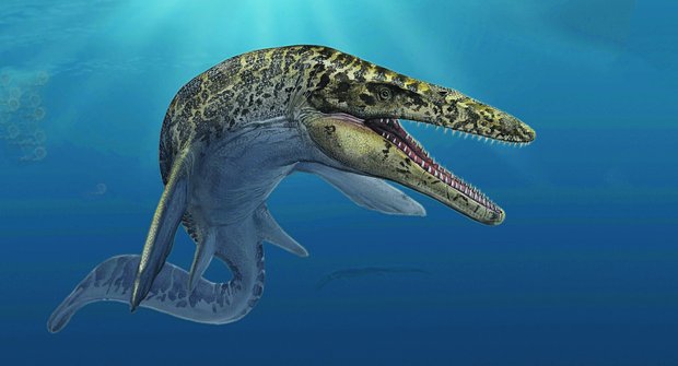 Nový objev: Mosasaurus měl zuby jako vrtáky 🦷