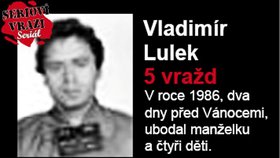 Vladimír Lulek