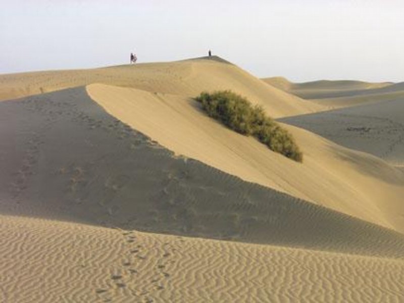 Maspalomas, Gran Canaria