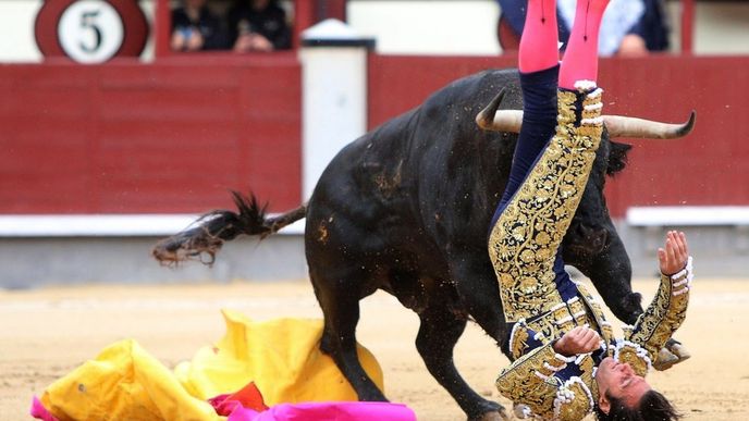 Matador