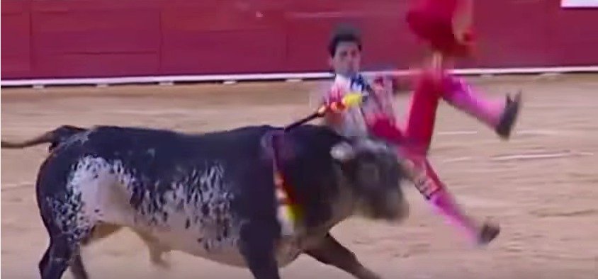 Na koridě v Madridu napíchl býk na rohy slavného toreadora Víctora Barria a zabil ho.