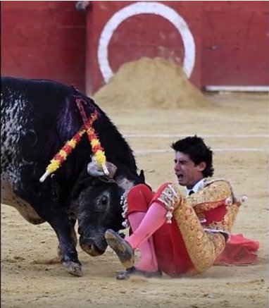 Na koridě  v Madridu napíchl býk na rohy slavného toreadora Víctora Barria a zabil ho.