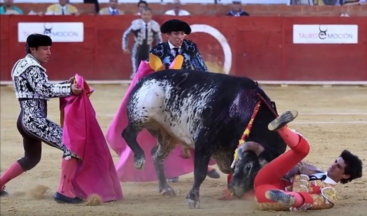 Při koridě zemřel slavný toreador Victor Barrio, když ho býk napíchl na rohy.
