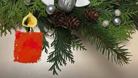 Adventní věnec Matěje Gregora (30.11.2025)