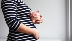 Úpravu výpočtu mateřské rodinám s vyššími příjmy čeká schvalování (ilustrační foto)