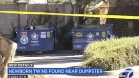 U těchto kontejnerů byla dvojčata nalezena.