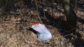 V igelitové tašce bylo na okraji hráze rybníka Drátovec na Havlíčkobrodsku nalezeno tělíčko novorozené holčičky